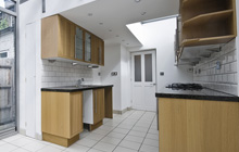 New Alresford kitchen extension leads